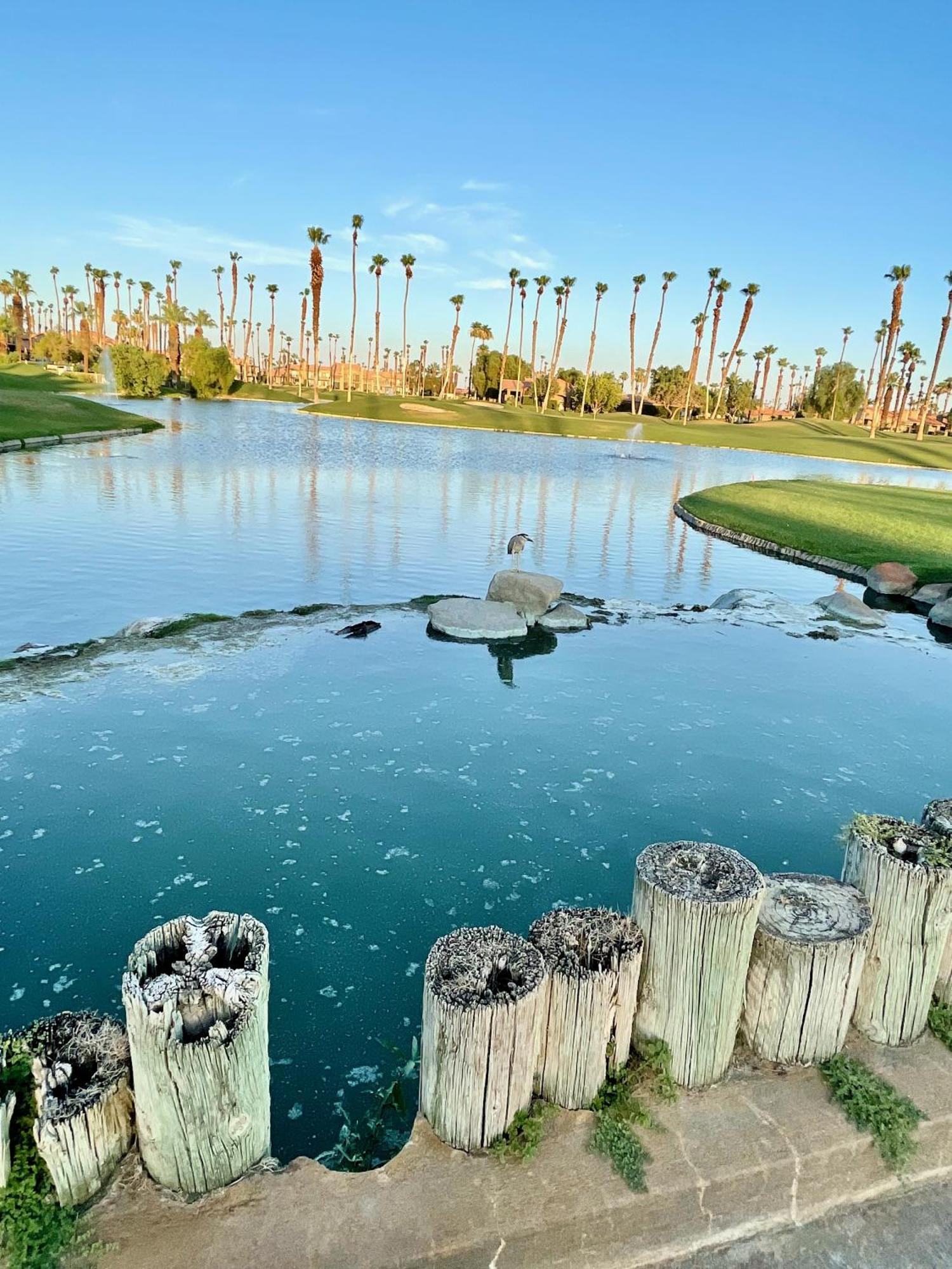 The View! Palm Desert Country Club Villa 외부 사진